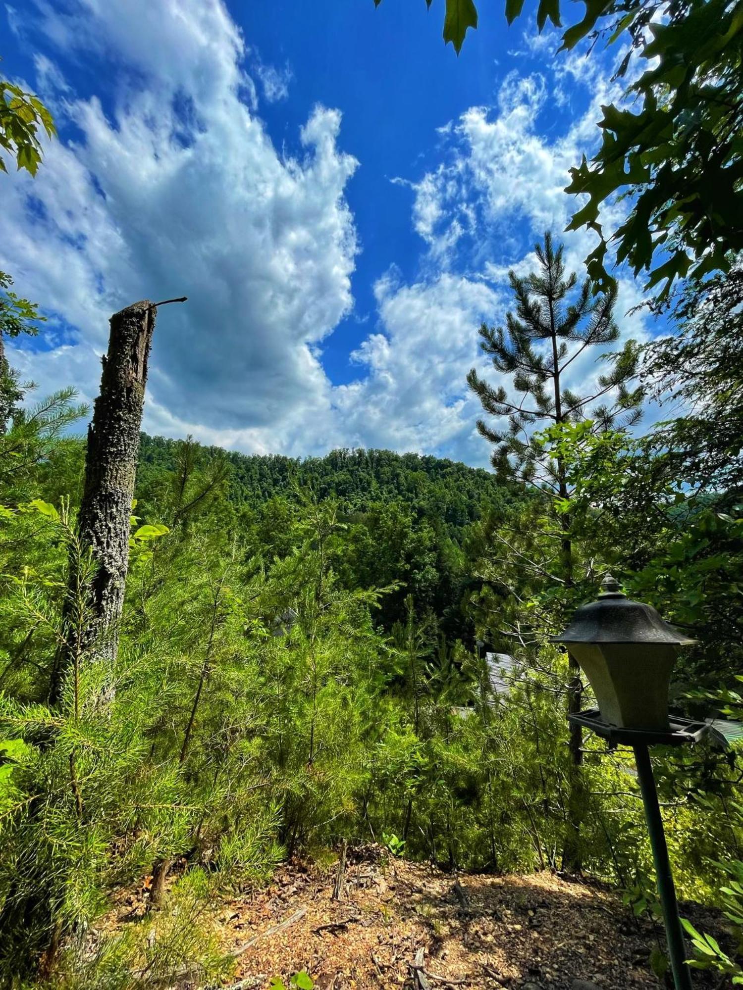 Tiny House, Wifi,Hot Tub,Secluded Villa Cosby Exterior photo